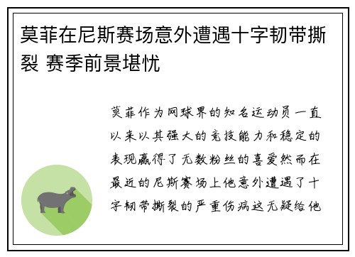 莫菲在尼斯赛场意外遭遇十字韧带撕裂 赛季前景堪忧