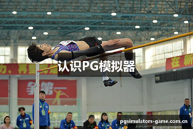 认识PG模拟器